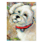 Titled:  Mookie is a Happy Dog Post Card