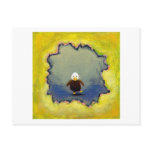 Titled:  Self Portrait  -  Baby bald eagle Post Cards