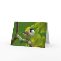 Titmouse in the autumn greeting card cards