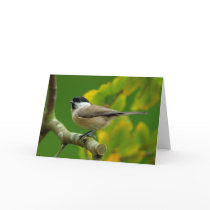 Titmouse in the autumn greeting card cards
