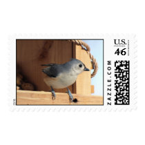 Titmouse Stamp stamps