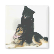 TK and Ka'vik magnets by minx267 TK and Ka'vik magnets