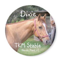 TKM Stable Souvenir Magnet - Dixie