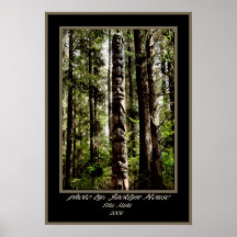 Tlingit Totem Print