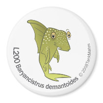 TM-04-L200 Baryancistrus demantoides magnets