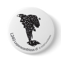 TM-05-L240 Leporacanthicus cf buttons