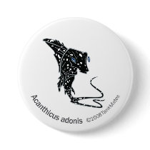 TM-09-Acanthicus adonis buttons