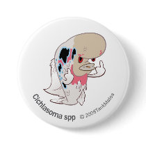 TM-10-Cichlasoma spp buttons