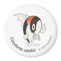 TM-11Corydoras adolfoi magnets