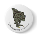 TM-13-L191 Panaque sp Pins