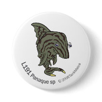 TM-13-L191 Panaque sp buttons