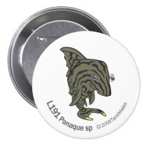 TM-13-L191 Panaque sp Pins