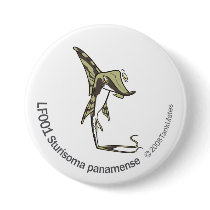 TM-14-LF001 Sturisoma panamense buttons