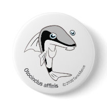 TM-15-Otacinclus affinis buttons