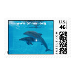 TMMSN Rescues Stamp