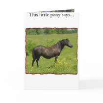 To a pony loving gurl on her b-day cards by Pounce93 To a pony loving gurl on her b-day cards