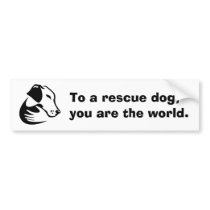 To a rescue dog, you are the world. bumper stickers by fishkid To a rescue dog, you are the world. bumper stickers