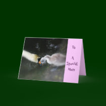 To a special mum - mother's day card