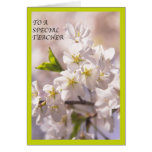 To A Special Teacher White Flowers Blossoms Card