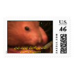 to all hamster lovers, to all hamster lovers.... postage