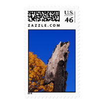 to be you postage by blacqbook to be you postage