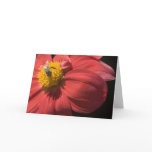 To bee or not to bee greeting card