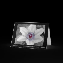 To Behold Beauty cards