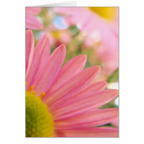 To blush from a kiss cards