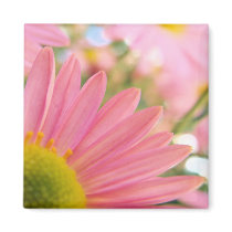 To blush from a kiss refrigerator magnets