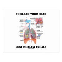 To Clear Your Head Just Inhale & Exhale Postcard