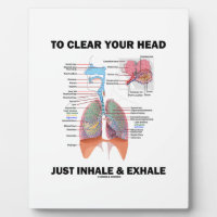 To Clear Your Head Just Inhale & Exhale (Respire) Plaques