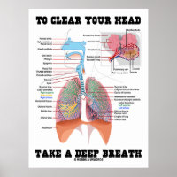 To Clear Your Head Take A Deep Breath Poster