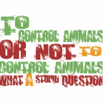 To Control Animals photo sculptures by 1000suns To Control Animals photo sculptures