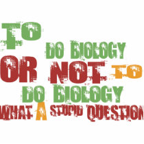 To Do Biology photo sculptures