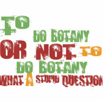 To Do Botany photo sculptures by 1000suns To Do Botany photo sculptures