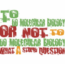 To Do Molecular Biology photo sculptures