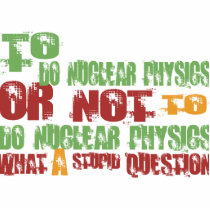To Do Nuclear Physics photo sculptures