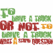 To Drive a Truck photo sculptures