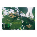 To every thing there is a season Scripture posters