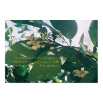 To every thing there is a season Scripture posters
