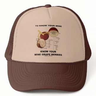 To Know Your Wine Know Your Wine Grape Berries hat