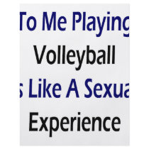 To Me Playing Volleyball Is Like A Sexual Experien flyers