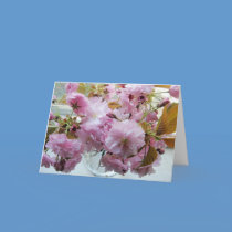 To Mom cards