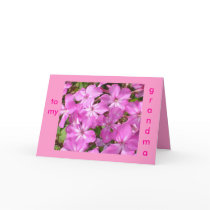 To my grandma cards