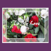 To My Love postcards