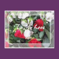To My Love postcards