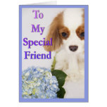 To My Special Friend Cavalier King Charles Spaniel Greeting Card