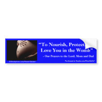 To Nourish, Protect, and Love You in the Womb bumper stickers