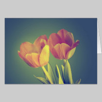 To Ostara cards