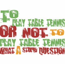 To Play Table Tennis photo sculptures